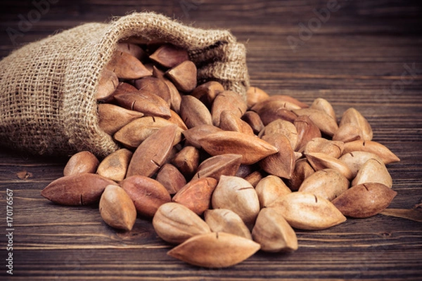Obraz Pili nuts