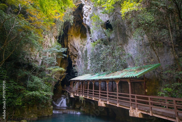 Fototapeta 秋芳洞の入口