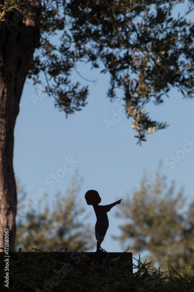 Fototapeta Boy silhouette