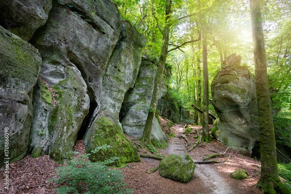 Fototapeta Mullerthal during summer season, Luxembourg