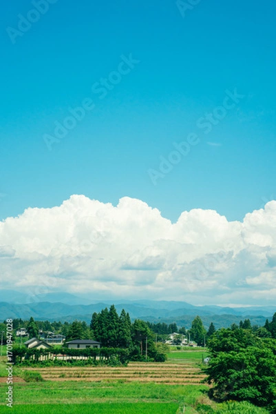 Fototapeta 夏の青空と田んぼ　田舎の風景　入道雲