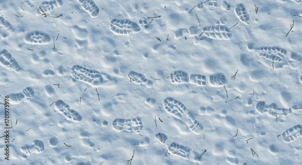 Fototapeta Footprints in Snow