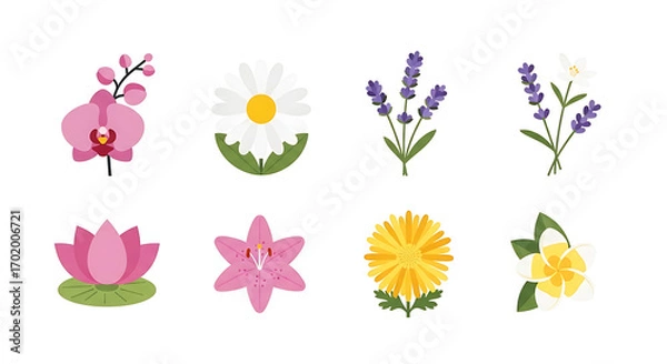 Fototapeta A diverse set of eight colorful flower illustrations, including orchid, daisy, lavender, and lotus.
