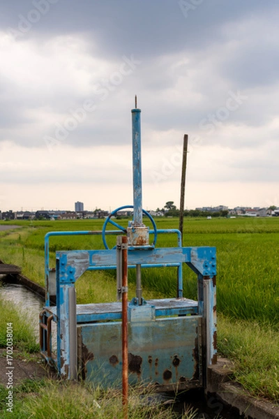 Obraz 田んぼの農業用水路と古びた水門