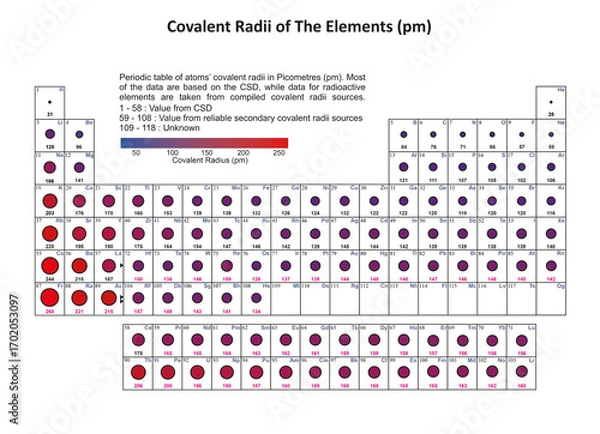 Fototapeta Illustration of the Periodic Table of elements showing the atomic radii of the elements
