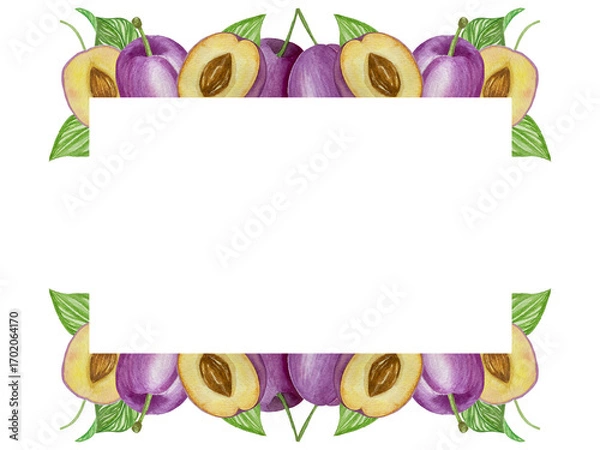 Obraz Branch with plums, set of purple berries on isolated white background, botanical illustration hand drawn watercolor, ripe fruit