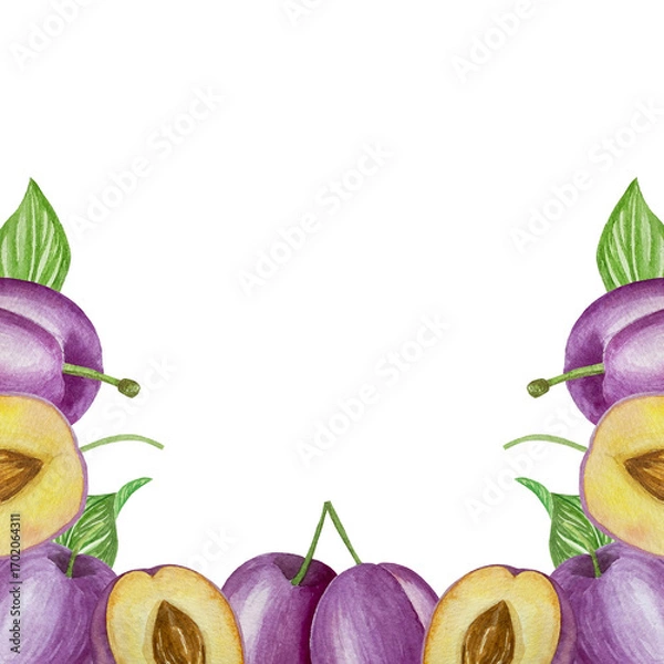 Obraz Branch with plums, set of purple berries on isolated white background, botanical illustration hand drawn watercolor, ripe fruit