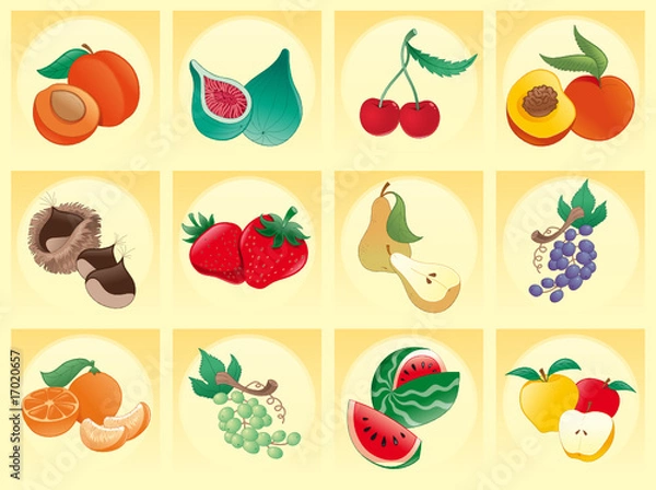 Fototapeta fruit with background- vector and cartoon illustration