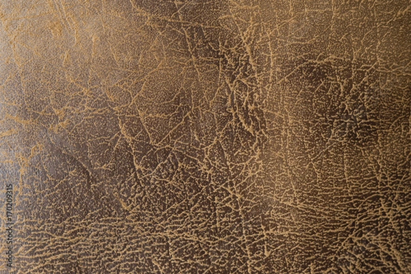Obraz Closeup brown leather texture