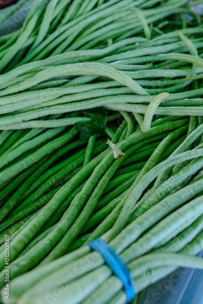 Obraz Bundled yardlong beans for sale