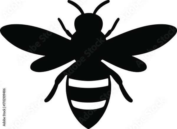 Fototapeta Minimal vector silhouette, bee top view symmetrical wings open, solid black