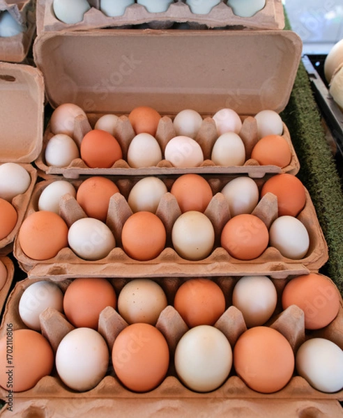 Obraz Mixed brown and white eggs