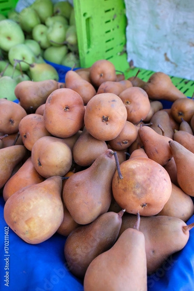 Obraz Brown and green pears displayed