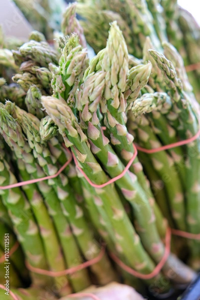 Obraz green asparagus on a white background