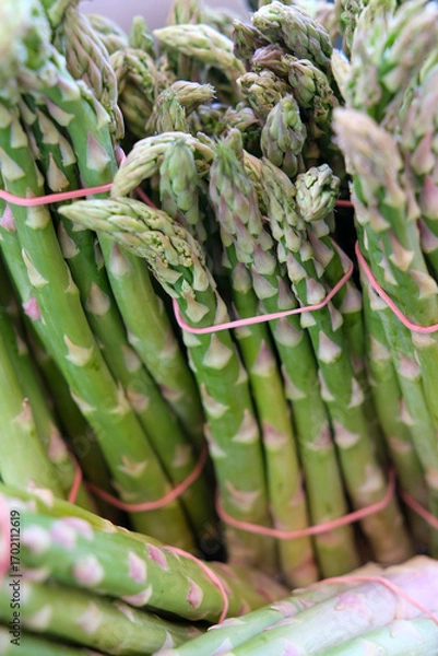 Obraz Bundled asparagus with purple tips