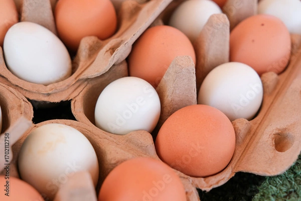 Obraz eggs in a basket