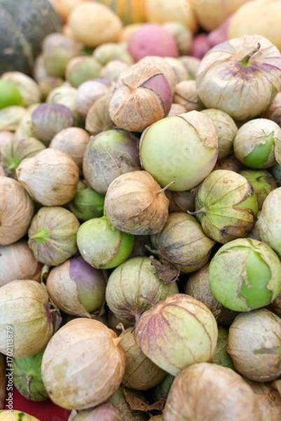 Obraz Mixed tomatillos with papery husks