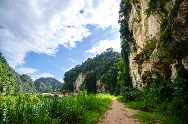 Fototapeta Mountain cliffside dirt path in Lanno Valley, a park surrounded by karst limestone mountain in Ipoh, Perak, Malaysia