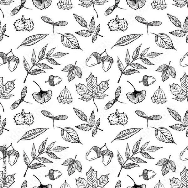 Fototapeta Hand drawn seamless pattern with autumn leaf symbols in black brush stroke texture on white. Vector sketch illustration in vintage charcoal ink. Chestnut, ginkgo