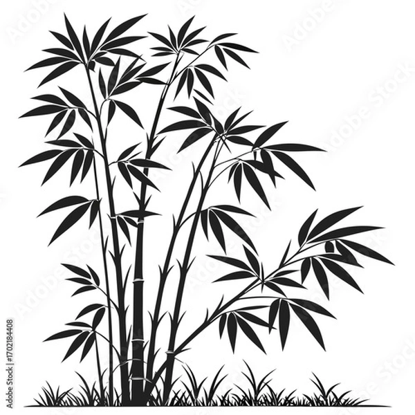 Fototapeta A black silhouette of a bamboo forest with tall stalks and lush green leaves against a white background representing nature and tranquility