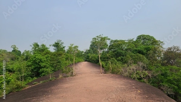 Obraz 山道を歩く