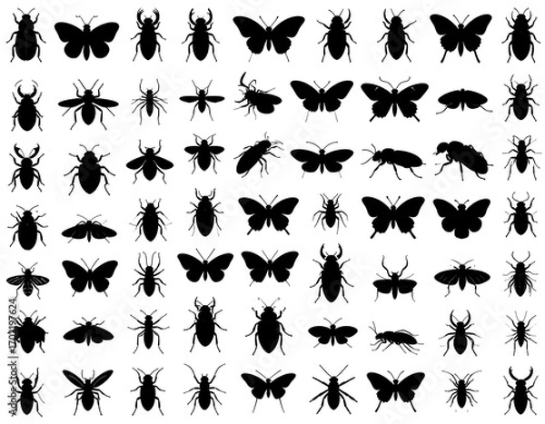 Fototapeta Diverse insect silhouettes creating intricate patterns and textures on white