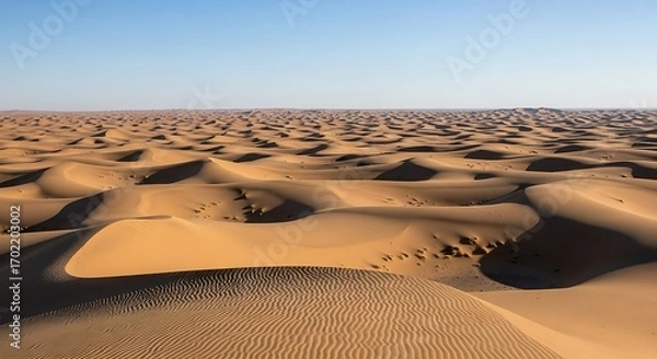 Obraz Desert Landscape with Sand Dunes and Blue Sky