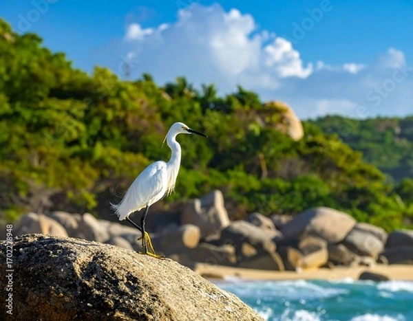 Fototapeta Elegant egret perched majestically on a boulder against a tropical backdrop