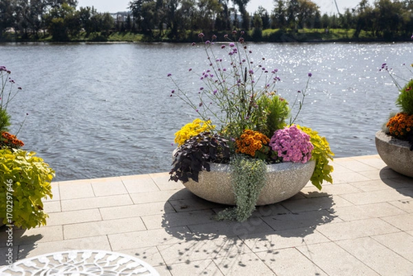Fototapeta Colorful flower arrangement in stone planter by the riverside on a sunny day