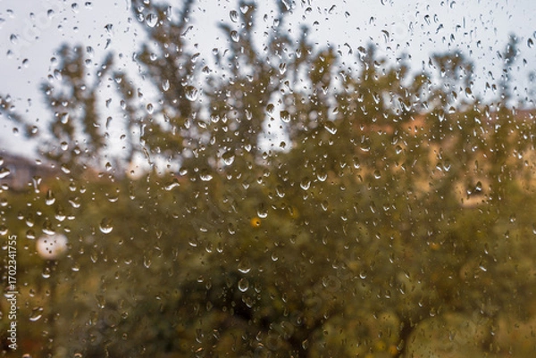 Fototapeta Raindrops on Window
