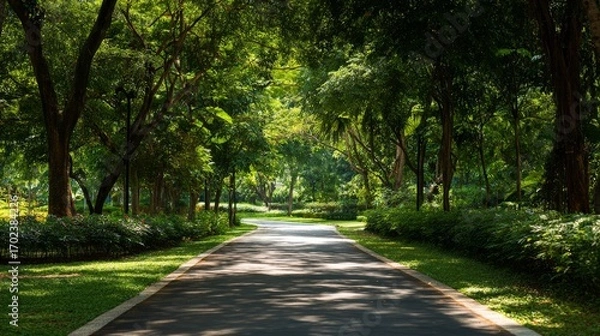 Fototapeta Minimalist Outdoor Park Pathway with Trees and Sunlight – Clean Nature Background for Design and Web