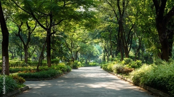 Fototapeta Minimalist Outdoor Park Pathway with Trees and Sunlight – Clean Nature Background for Design and Web