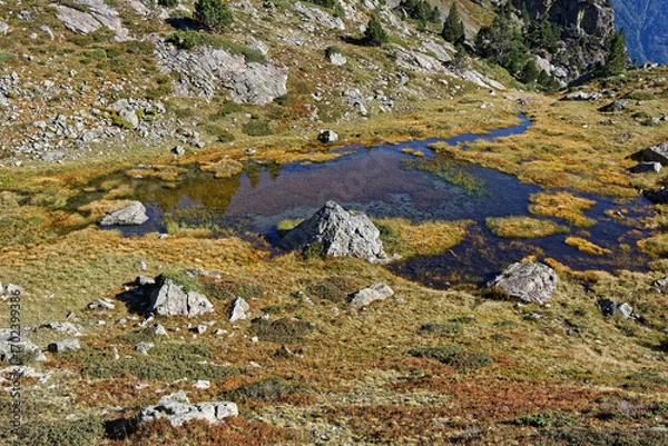 Obraz Small lake and bog surounded by rocks