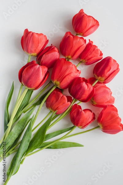 Fototapeta bouquet of red tulips. Bouquet of tulips on a white background. Red tulips.