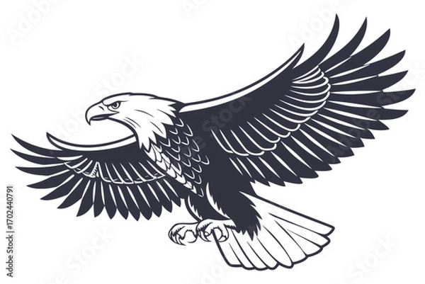 Fototapeta eagle vector illustration