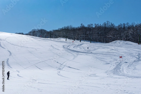 Obraz skiing in the mountains