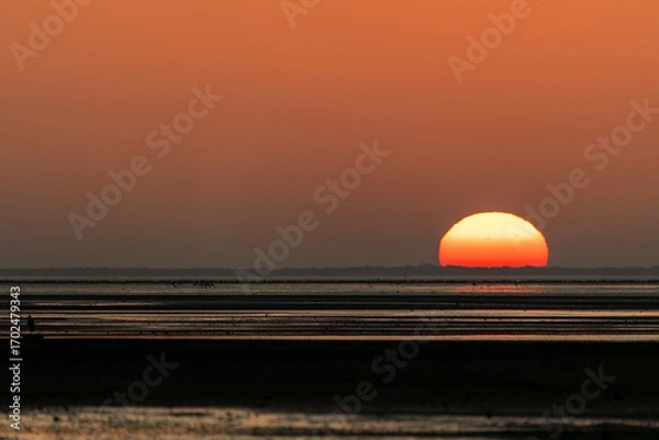 Obraz A beautiful view of the setting sun in bay of bengal inside Marine National Park on the outskirts of Jamnagar, Gujarat, India