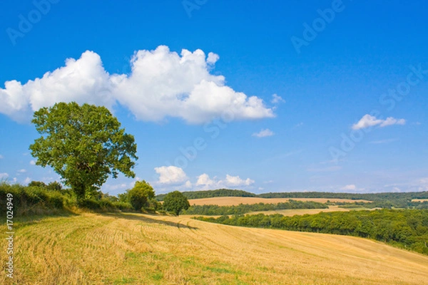 Obraz Feld nach der Ernte