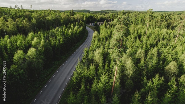 Fototapeta Top-down drone photo of a straight asphalt road dividing a dense coniferous forest. The symmetrical composition and rich green tones create a peaceful, natural atmosphere. 