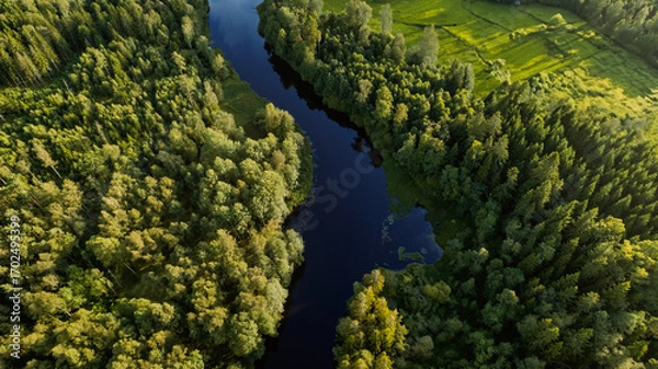 Fototapeta Drone photo of a winding river surrounded by dense forest and green fields. Captured in golden light, the contrast between the dark water and vibrant vegetation creates a stunning natural composition.