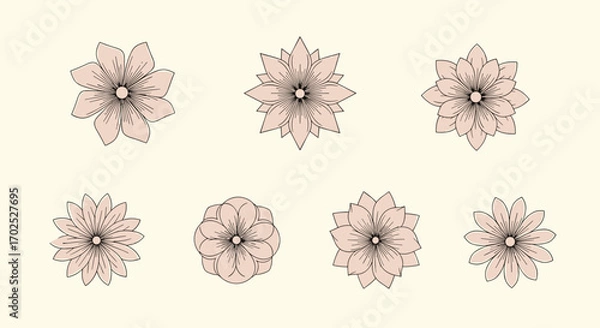 Fototapeta Elegant decorative floral elements for artistic projects and designs featuring delicate petal patterns in a soft palette