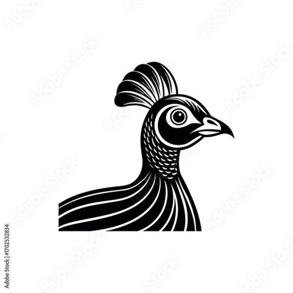 Fototapeta Monochrome illustration of a elegant peacock with artistic design elements and details