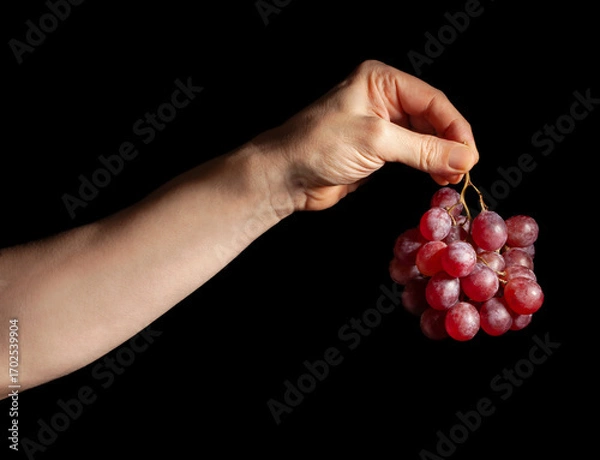Fototapeta red grape in hand on black background