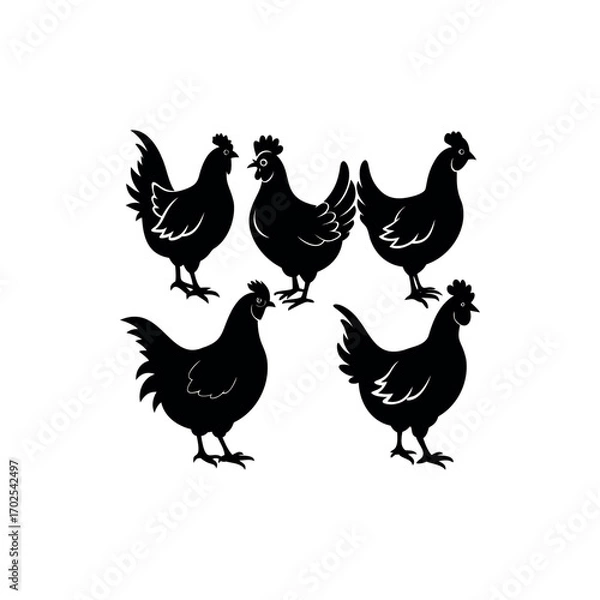 Fototapeta Five silhouette chickens showcasing diverse poses and feather patterns in black and white