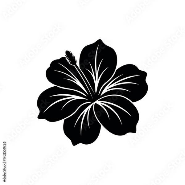 Fototapeta Monochromatic illustration of a hibiscus flower with bold lines and clear details