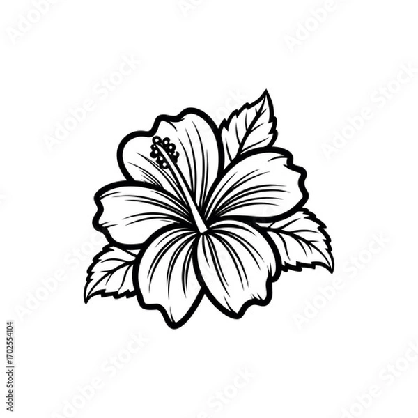 Fototapeta Monochrome drawing of a hibiscus flower with leaves in line art