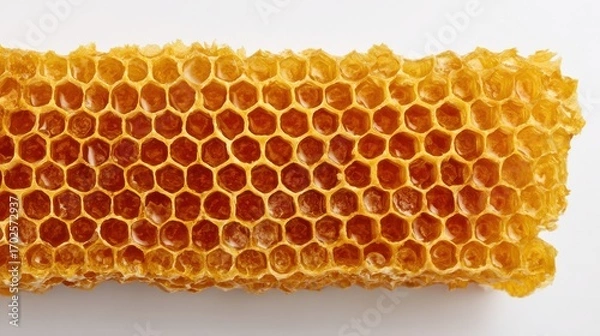 Fototapeta Beautiful photo of honeycomb slice closeup on white.