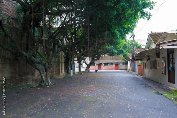 Fototapeta  A quiet alleyway in Xian Guang Military Kindred Village Cultural Park, Taiwan, shaded by large banyan trees with hanging aerial roots. Old houses line the street, hinting at a bygone era.