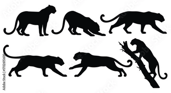 Fototapeta Vector silhouettes of a running black wild animal collection with a horse, dog, tiger, bear, and lion