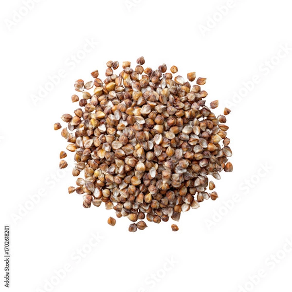 Obraz Heap of Raw Buckwheat Groats on Black Background